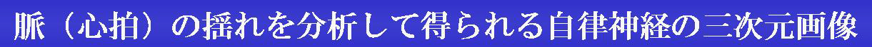 脈(心拍)の揺れを分析して得られる自律神経の三次元画像